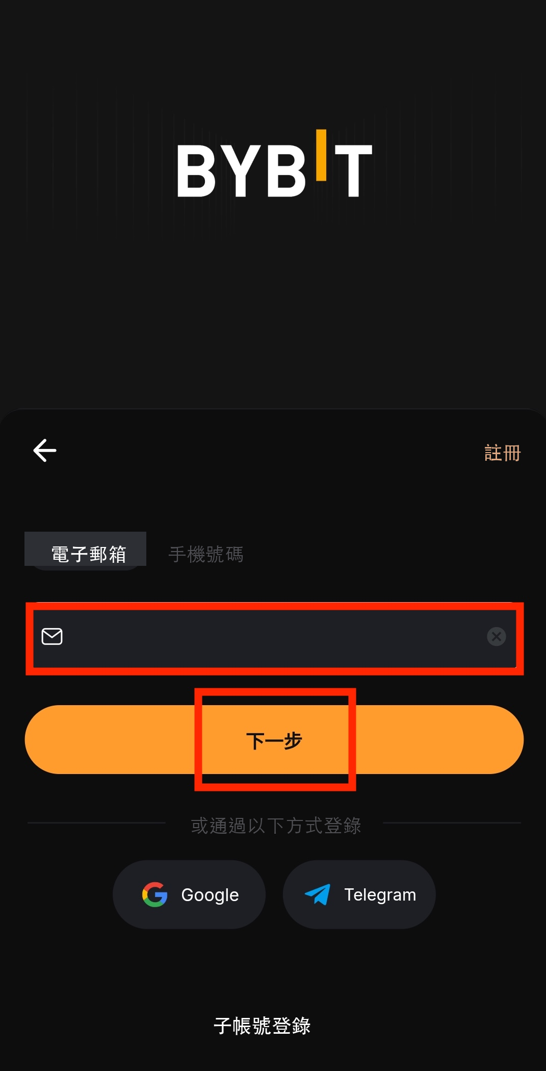 輸入郵箱登錄Bybit