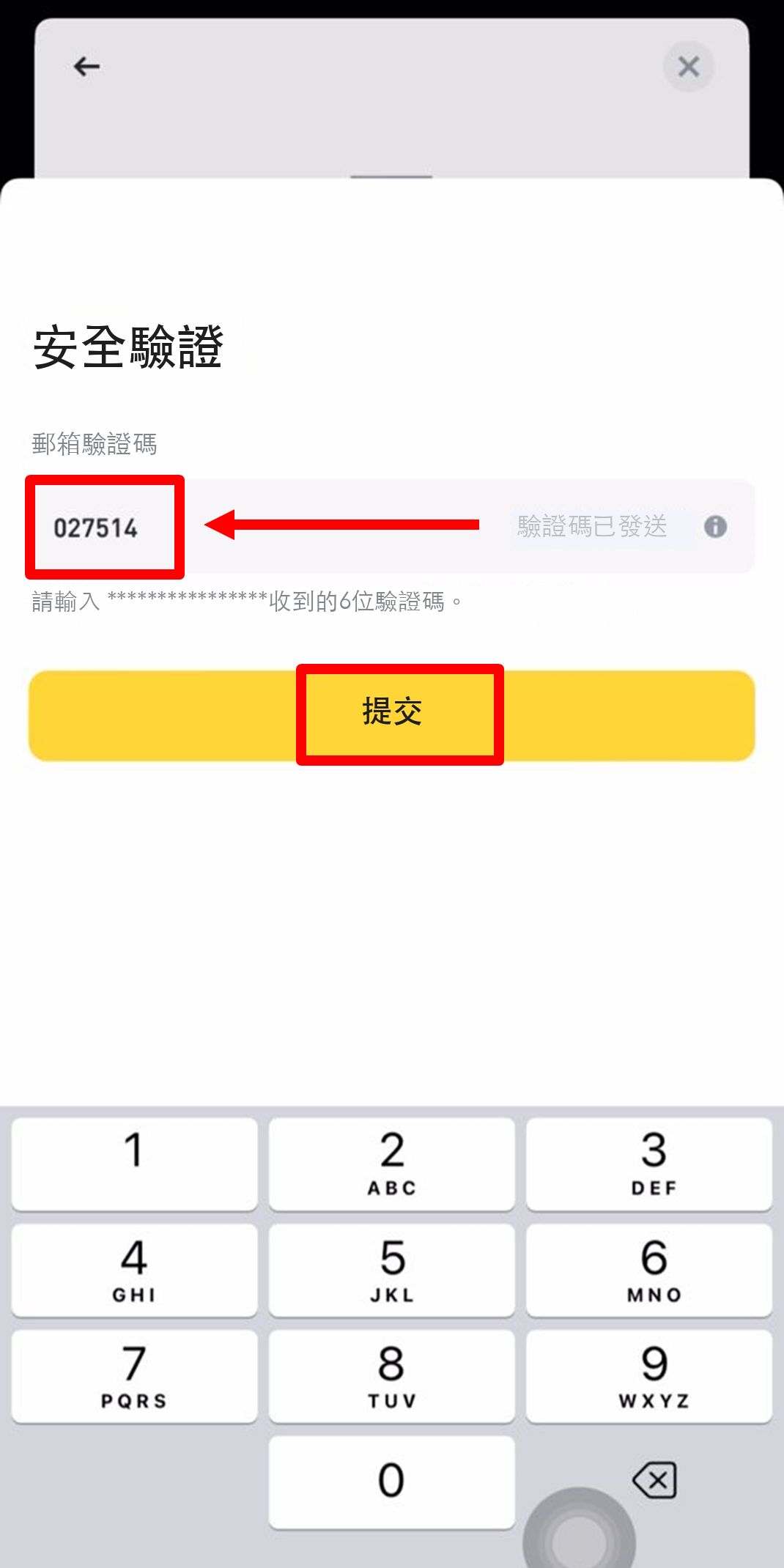 輸入密碼